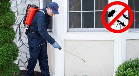 Payas Karınca İlaçlama böcek ilaçlama ve haşere kontrolü — ilaclama-tr.com